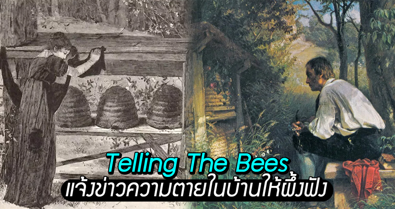 Telling The Bees ประเพณีแปลกของยุโรป ที่คนสมัยก่อนจะแจ้งข่าวความตายในบ้านให้ผึ้งฟัง