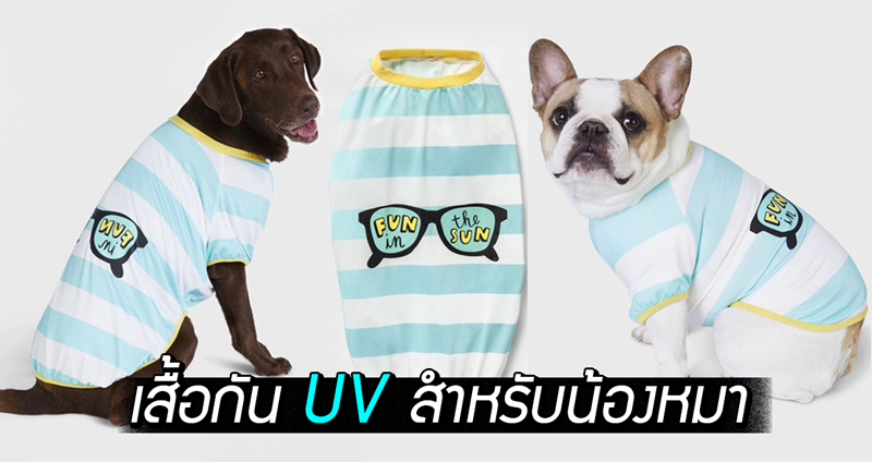 พาน้องหมาสุดรักวิ่งเล่นกลางแสงอาทิตย์อย่างสบายใจ ด้วยเสื้อสวยๆ ป้องกันแสง UV
