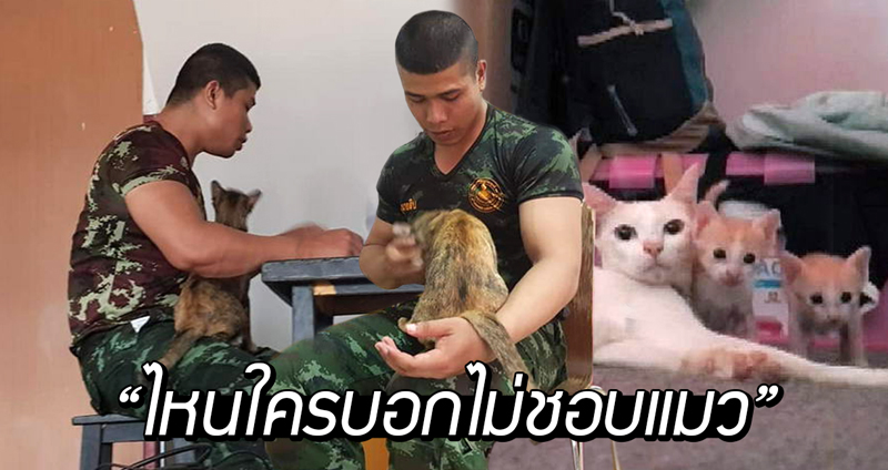 เมื่อทหารผู้ไม่ชอบแมว ต้องอยู่ร่วมบ้านกับ 3 แมวของแฟน สุดท้ายก็เป็นทาสแมวจนได้!!