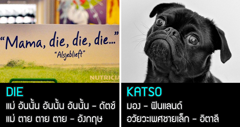 “10 คำพ้องเสียงแต่ไม่พ้องความหมาย” คำดีๆ ของภาษานึงอาจกลายเป็นคำหยาบในอีกภาษา