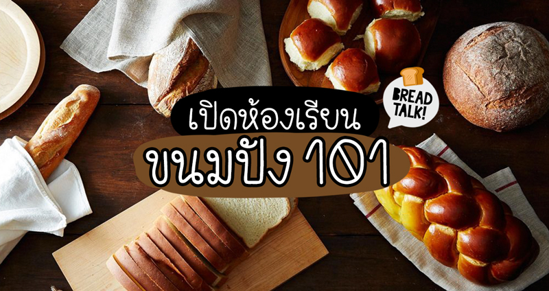 เปิดห้องเรียน ‘ขนมปัง 101’ ไปรู้จัก 8 ชนิดของขนมปัง มันไม่ได้มีแค่อย่างเดียวนะพวกเธอ