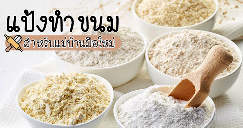 ทำความรู้จัก ‘แป้งสำหรับทำขนม’ วัตถุดิบที่คุณแม่บ้านมือใหม่ควรรู้