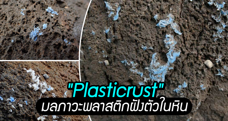 นักวิทย์เผย “Plasticrust” มลภาวะรูปแบบใหม่ ที่พลาสติกจะฝังตัวอยู่ในหินแถบชายหาด
