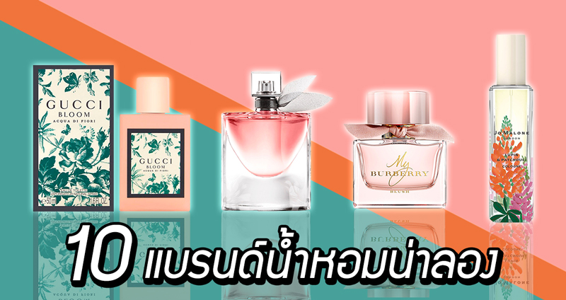 แนะนำน้ำหอม 10 กลิ่น 10 แบรนด์ที่น่าลอง คัดสรรมาเพื่อสาวๆ โดยเฉพาะ!