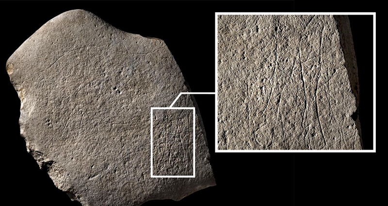 พบแผ่นหินโบราณอายุร่วม 12,000 ปี ถูกสลักด้วยรูปปริศนา “ม้าไร้หัว” ในฝรั่งเศส