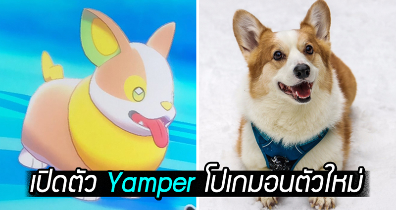 Nintendo เปิดตัว Yamber โปเกมอนที่ทำชาวเน็ตคลั่งไคล้ เพราะมันคือ ‘คอร์กี้’ ดีๆ นี่เอง