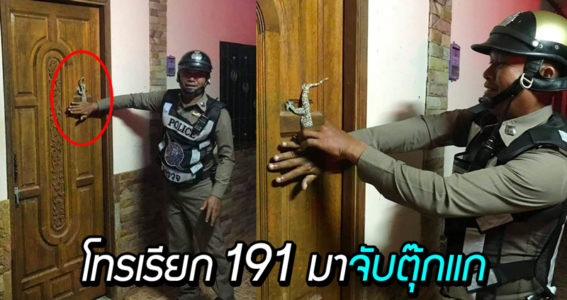 ตำรวจได้รับแจ้งเหตุด่วน ‘ตุ๊กแกขวางประตู’ เจ้าของห้องเข้าห้องไม่ได้ รีบรุดใช้สองมือมับเข้าให้