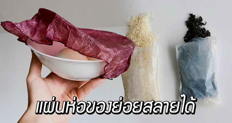 นักวิทย์สร้างแผ่นห่อของ “SCOBY” ทดแทนพลาสติก ย่อยสลายง่าย กินได้ ช่วยฟื้นฟูดิน