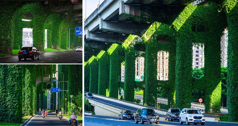 ชมภาพความงาม “ทางด่วนสีเขียว” ในจีน ใช้เวลา 4 ปีเปลี่ยนฐานสะพานเป็นความสดสวย!!