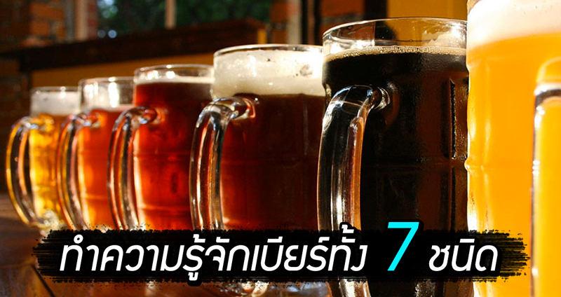 ทำความรู้จักกับ 7 ชนิดของเบียร์ เรื่องพื้นฐานที่คอเบียร์รู้ไว้ไม่เสียหาย