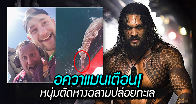 Aquaman สุดโมโห ออกโรงเตือนสองหนุ่มที่ตัดหางฉลามและปล่อยมันไปเพื่อความสนุก