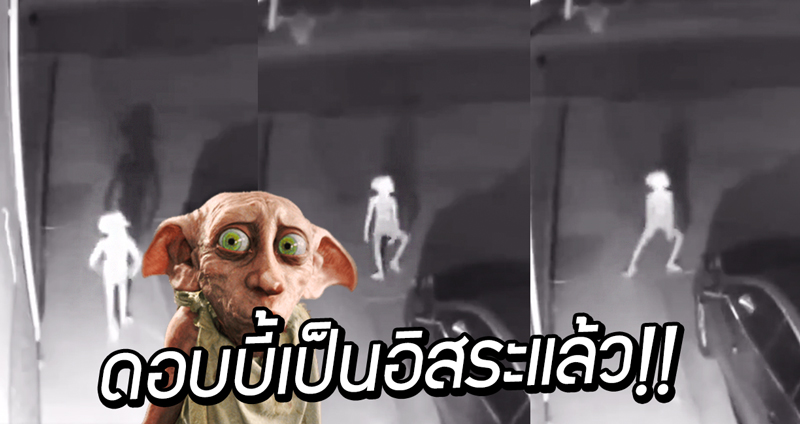 คลิปสุดฮิต เผย ‘สิ่งมีชีวิตปริศนา’ มาไงไม่รู้ ยืนเต้นหน้าบ้าน ผู้คนบอกนั่น ‘ดอบบี้’ ชัดๆ !!