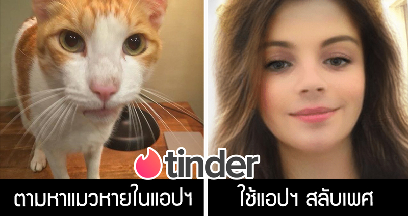 10 บวก 1 ‘ประสบการณ์สุดแหวก’ ไม่เหมือนใครใน Tinder อะไรที่มากกว่าการนัดเดตทั่วๆ ไป