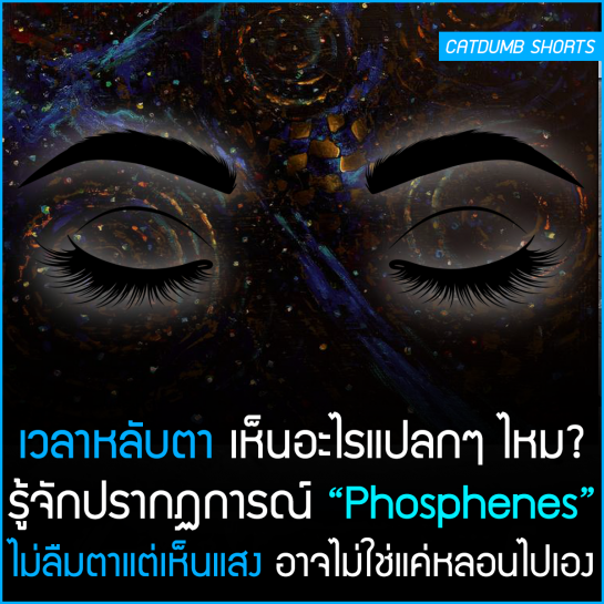 My Image 46