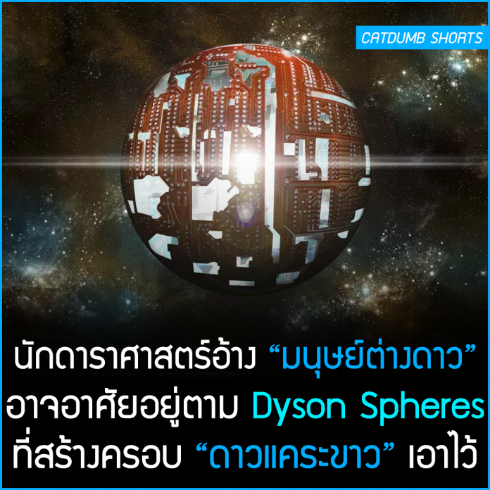My Image 12