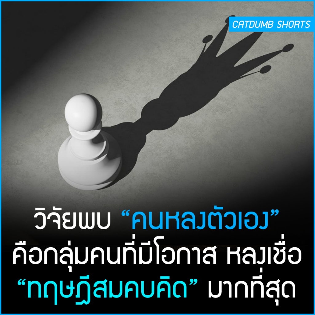 My Image 29