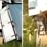 iShowSpeed ร่วมมือ Jynxzi จัดแข่ง Fortnite เงินรางวัล 3 ล้านบาท ฟอร์มทีมร่วมแข่ง อยากสัมผัสบรรยากาศ โดดร่ม ยังไม่ถึงพื้น โดนสอยร่วงไปแล้ว