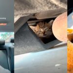 พอล สโคลส์ ตำนานผีแดง ตัดสินใจยุติหน้าที่ นักวิเคราะห์ ฟุตบอล เพื่อไปดูแลลูก ที่ป่วยเป็นออทิสติก