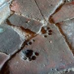 คนเกาหลีออกมาปกป้องตัวเองว่า เกาหลี ญี่ปุ่น จีน ไม่ใช้มือกินข้าวกัน มีแต่พวก SEA เท่านั้นแหละ งานนี้โดนทัวร์มือจีบถล่มยับ